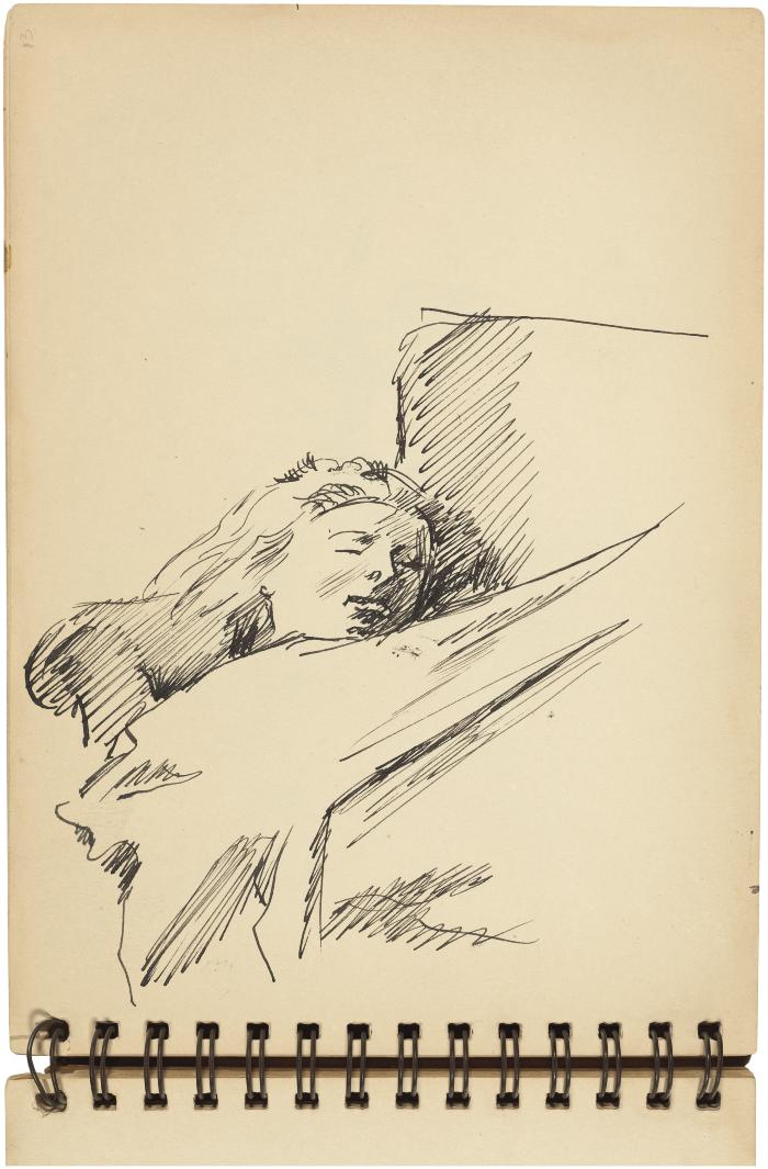 [Sleeping woman]



Gyral Sketch Book 2, page 25