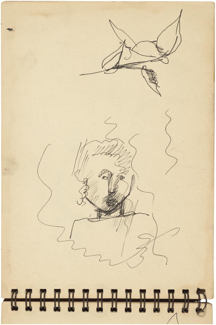 [Head of a woman / plant study]



Gyral Sketch Book 2, page 36