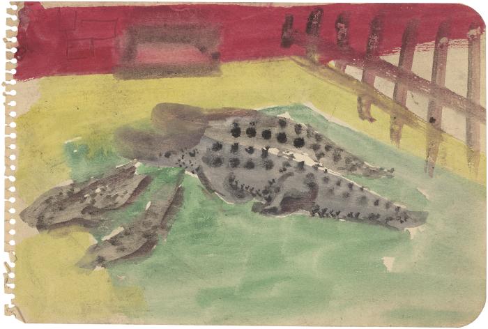 [Crocodiles in enclosure]