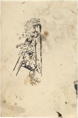 [Foliage on trellis]