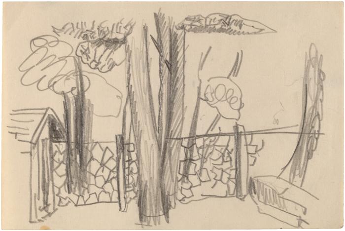 [Outdoor scene with fence and trees]