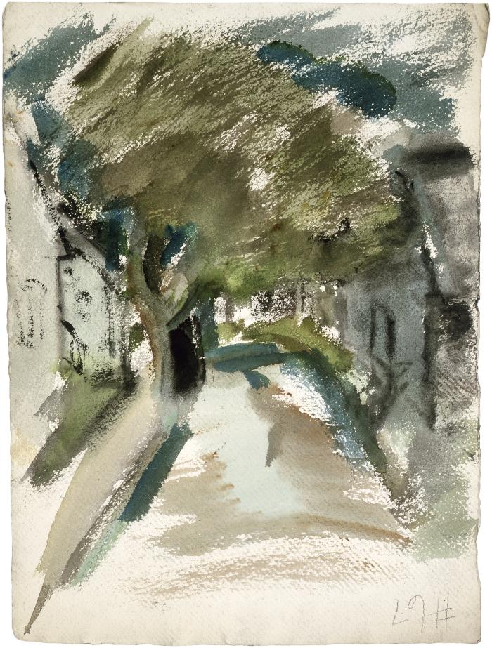 [Tree-lined street with houses]