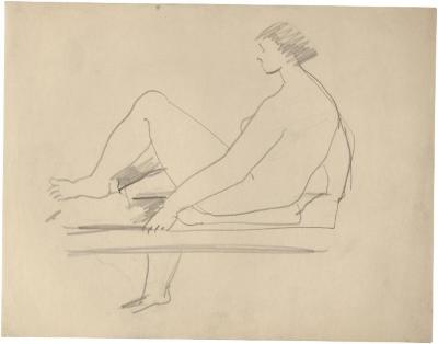 [Female nude on table]