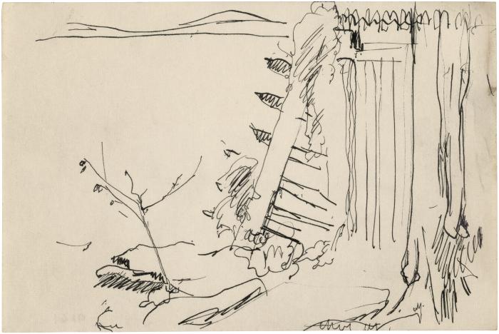[Landscape with fence]