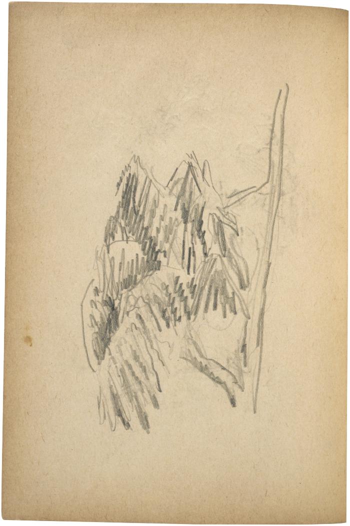 [Tree branches] The Scribble-In Book, page 66