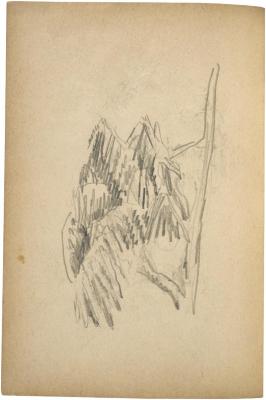 [Tree branches] The Scribble-In Book, page 66