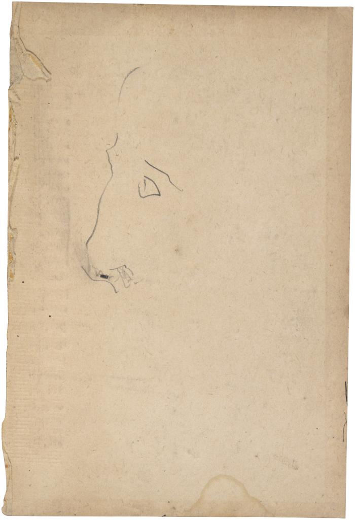 [Head] The Scribble-In Book, inside back cover