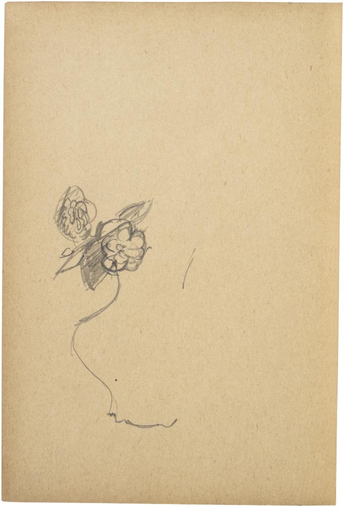 [Vase of flowers] The Scribble-In Book, page 11