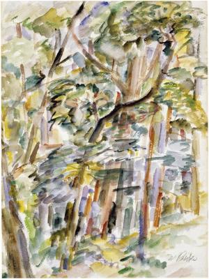 [Forest interior]