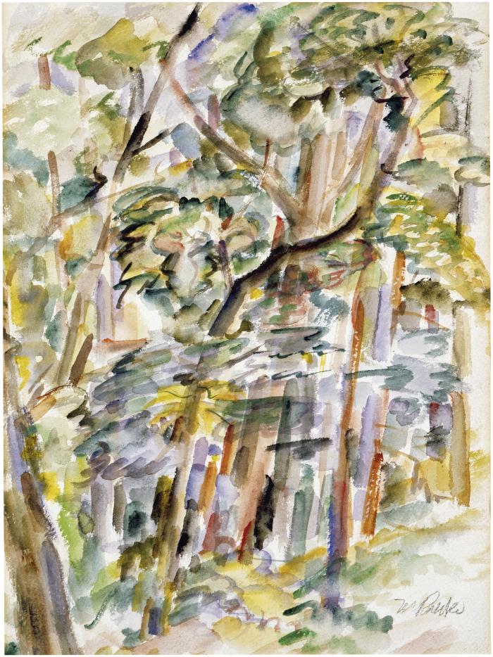 [Forest interior]