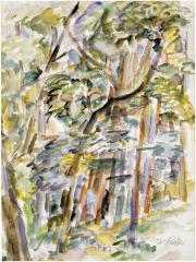 [Forest interior]