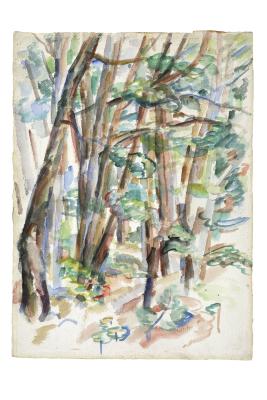 [Forest interior]