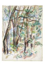 [Forest interior]