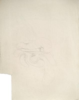 [Untitled]