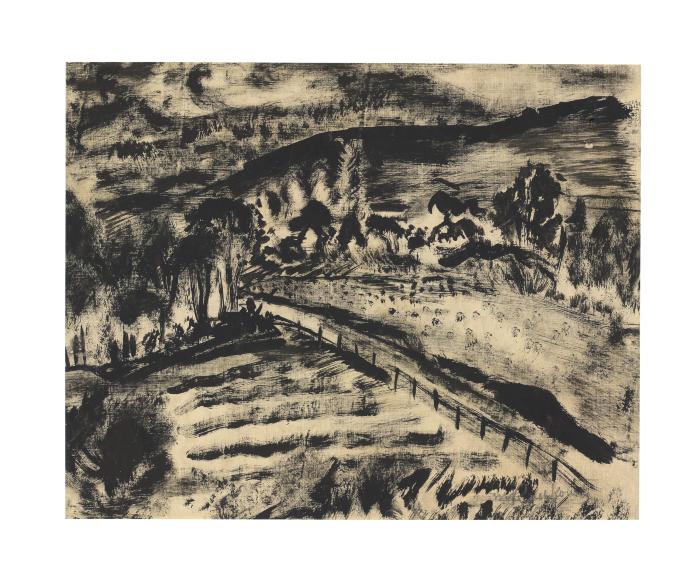 [Agricultural landscape]
