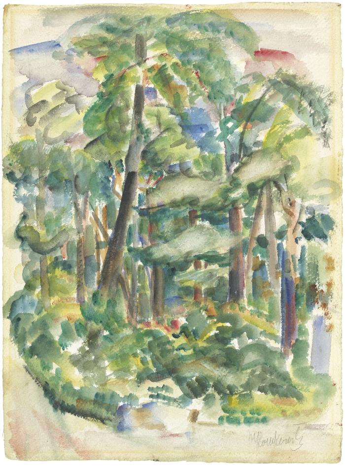 [Forest]