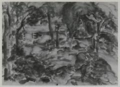 [Forest interior with cabin]