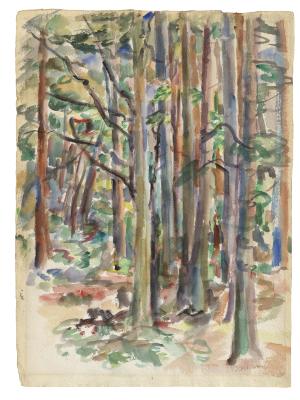 [Forest interior]