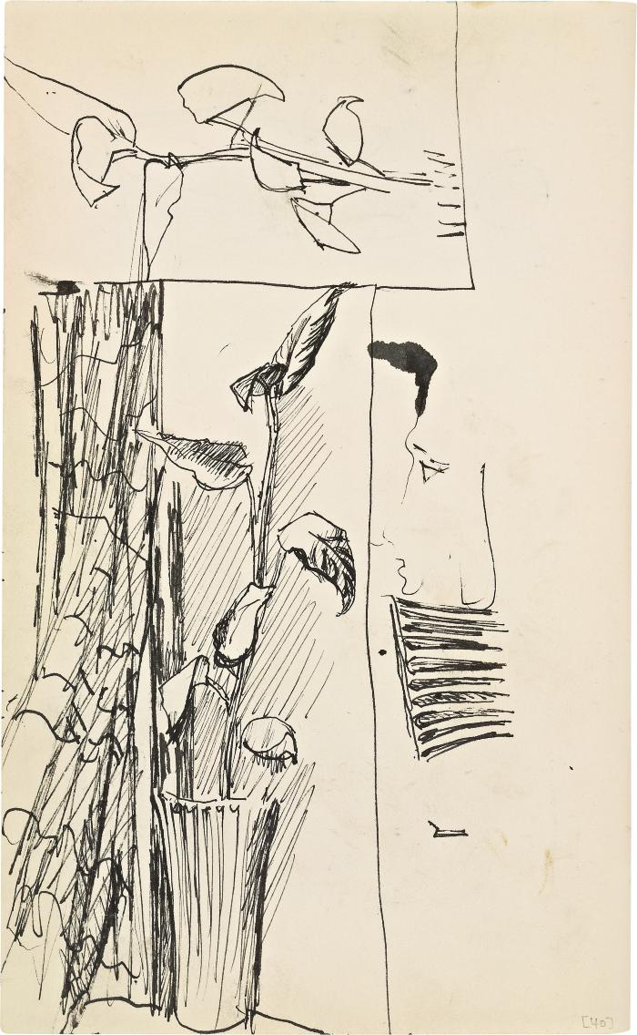 [Potted plants, two studies] Marshall Jenkins Sketchbook, page 40