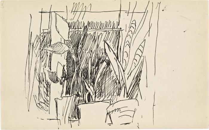 [Potted plants] Marshall Jenkins Sketchbook, page 70